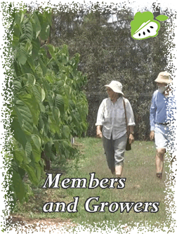 Members and Growers